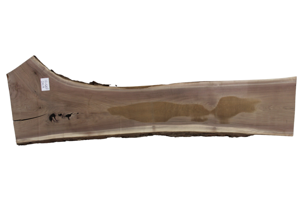 023-01 Walnut