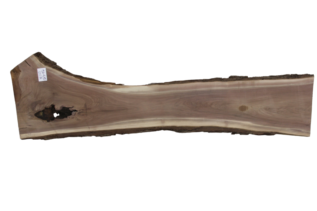 023-02 Walnut