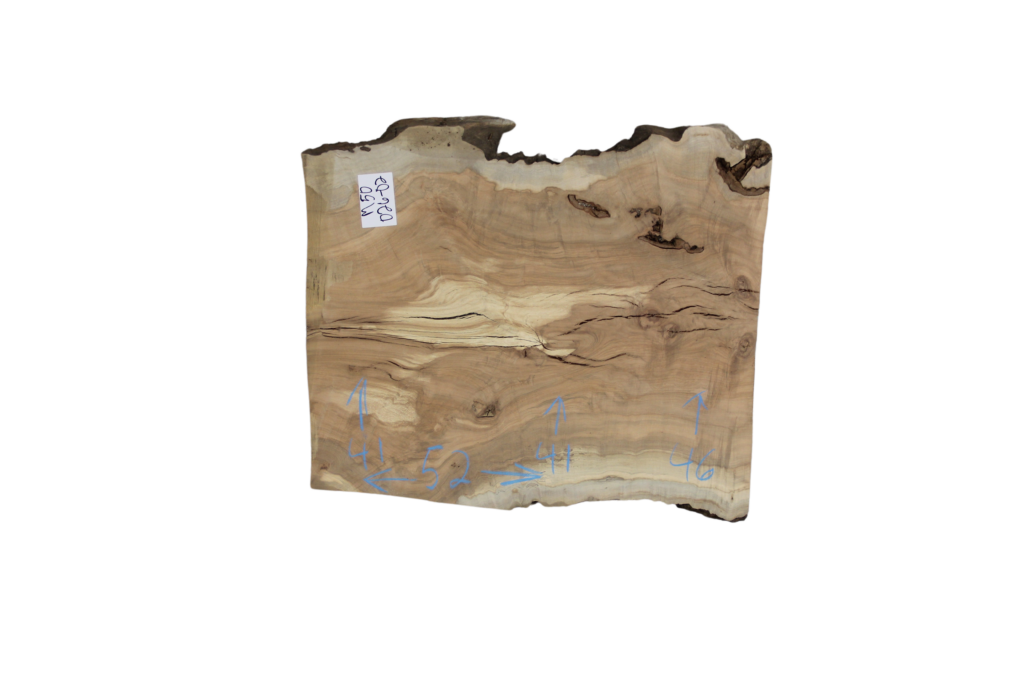 026-02 Maple