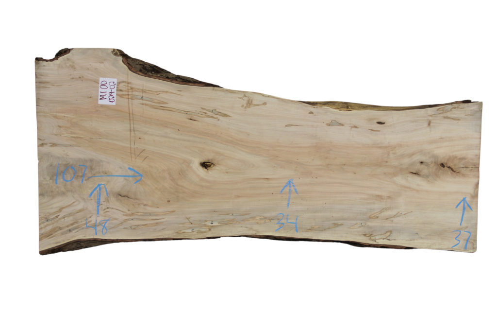 029-02 Maple -Warped