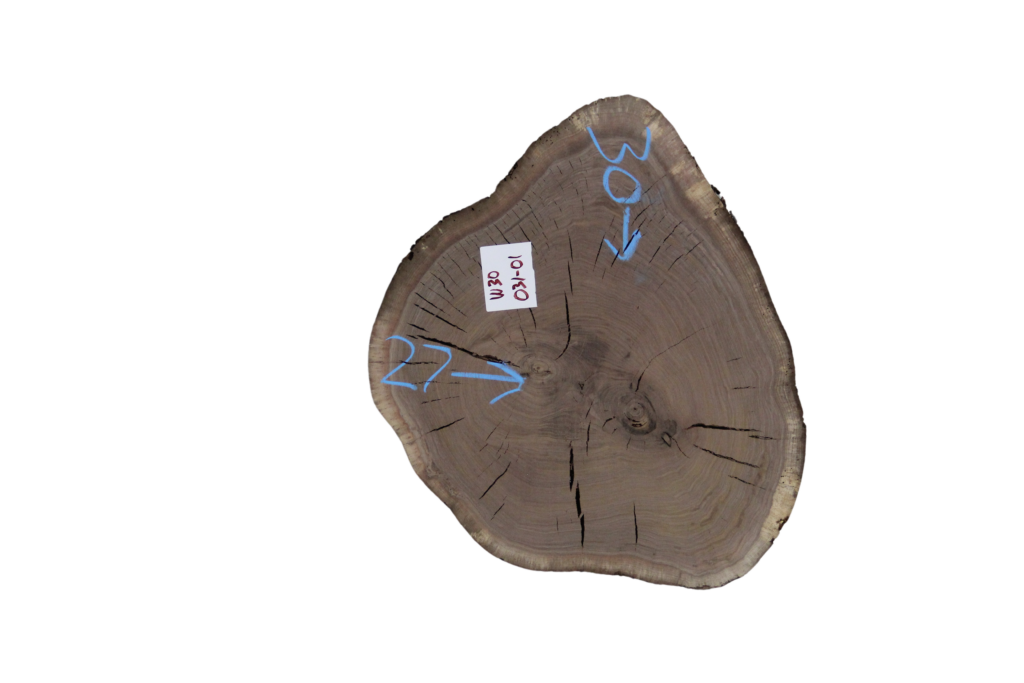 031-01 Walnut