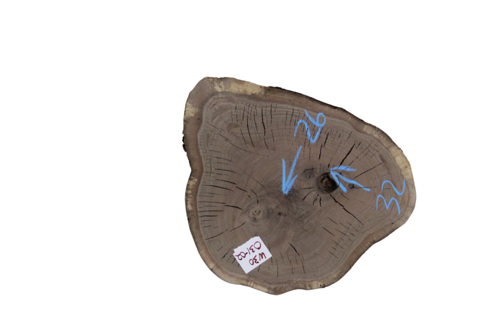 031-02 Walnut