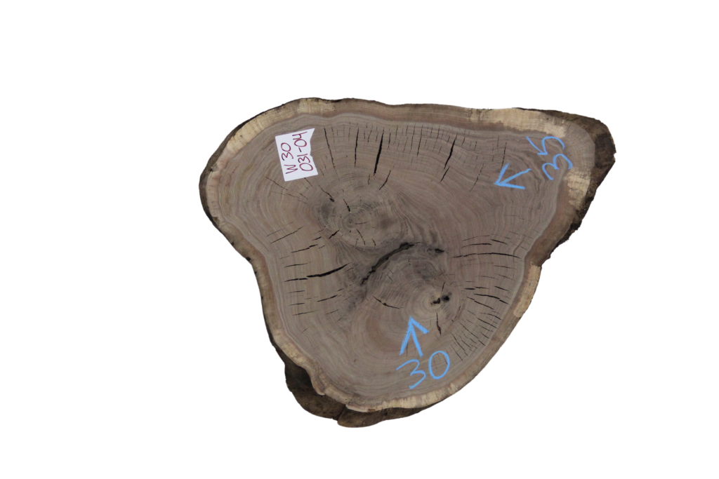 031-04 Walnut